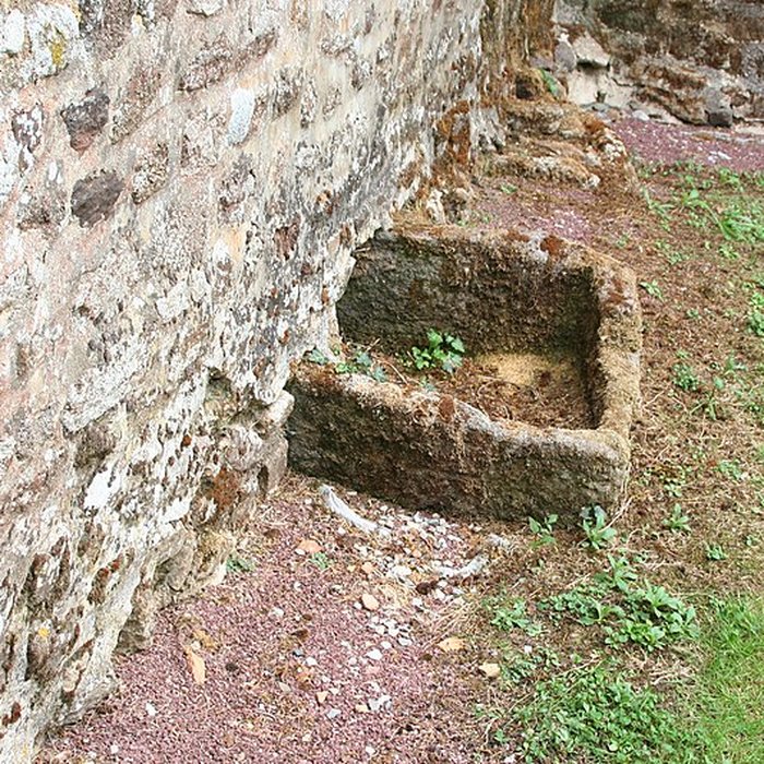 Photo de Église Saint-Céneri de Saint-Céneri-le-Gérei