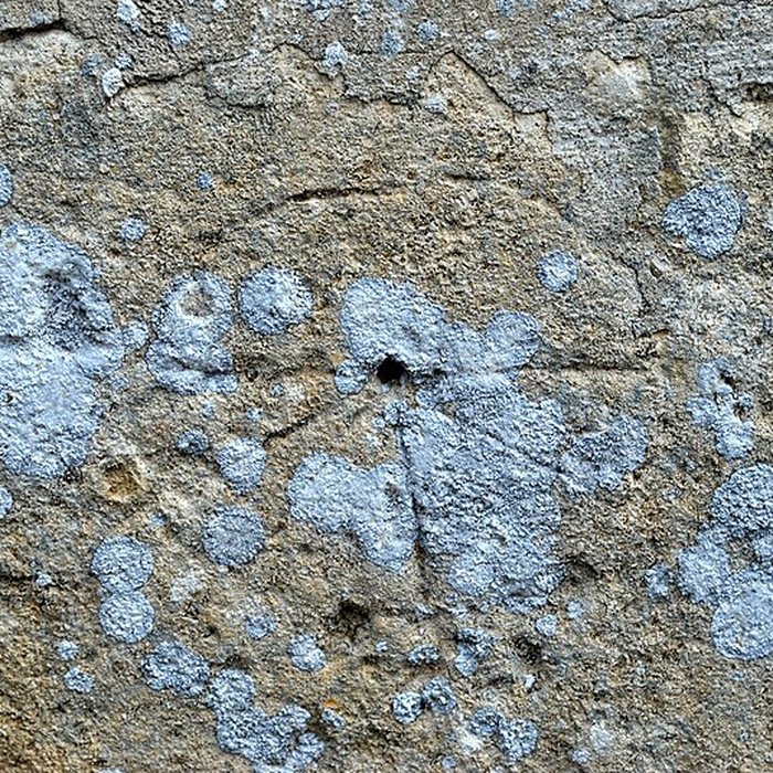 Photo de Église Saint-Christophe de Baron