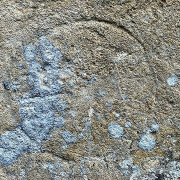 Église Saint-Christophe de Baron