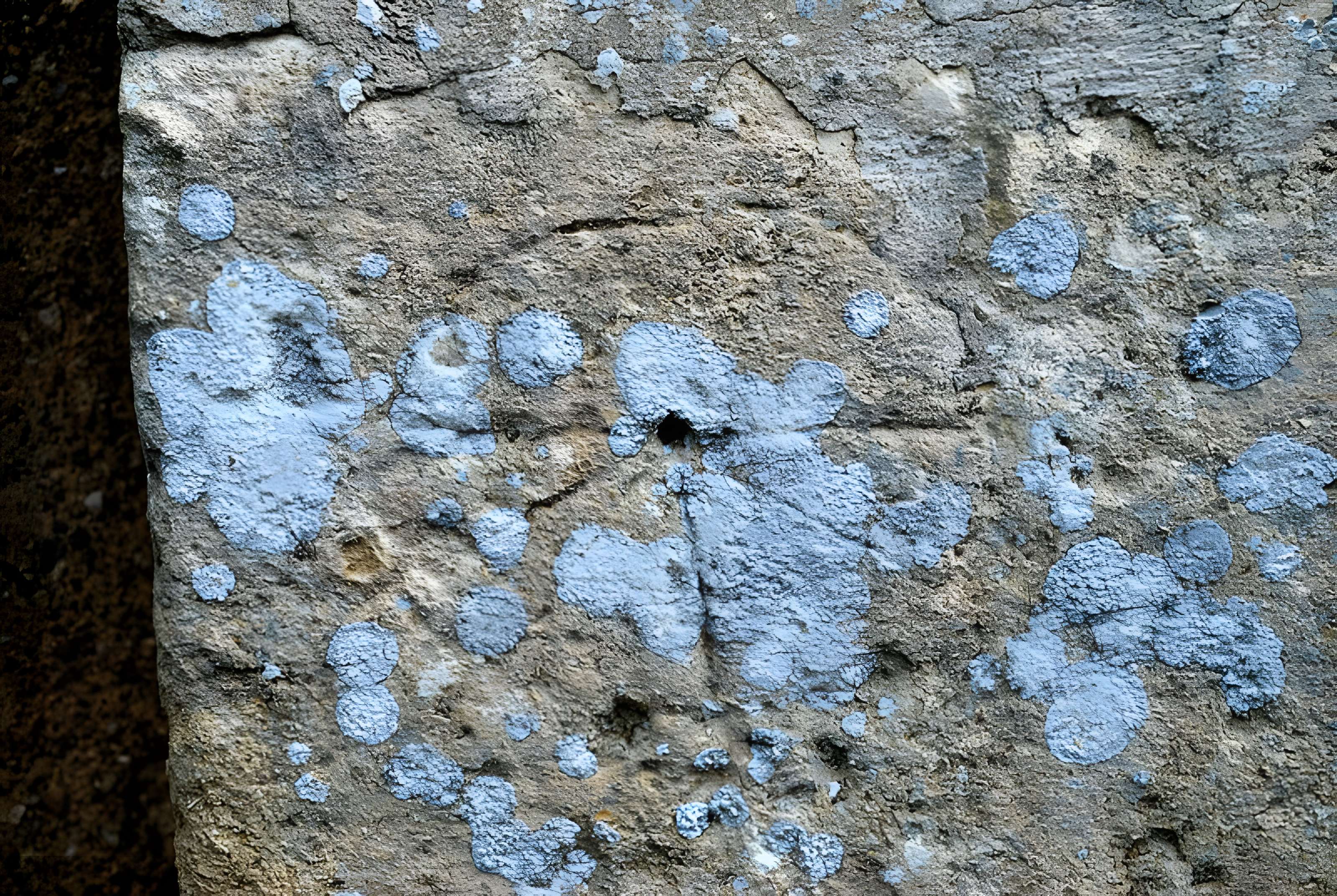 Église Saint-Christophe de Baron