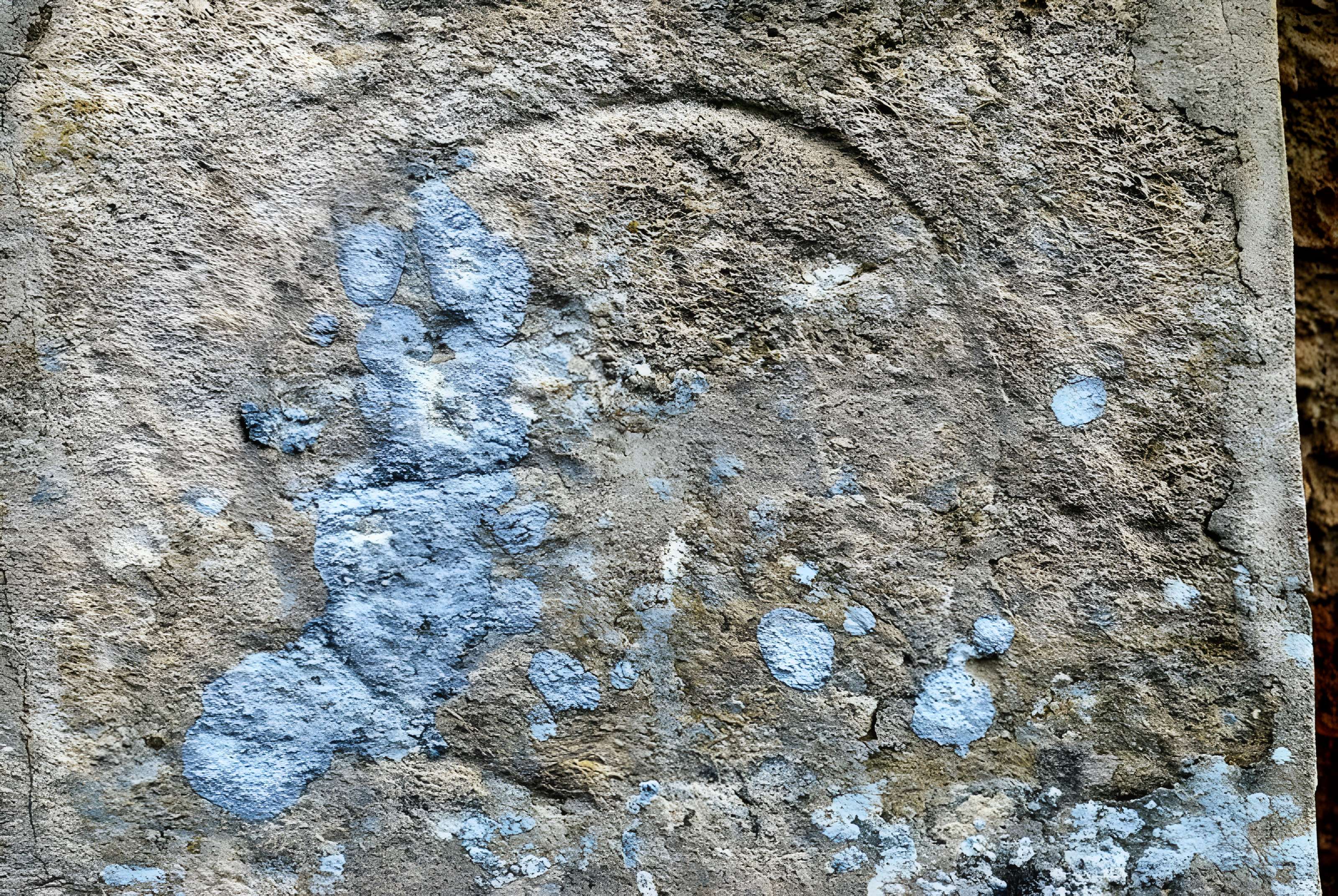 Église Saint-Christophe de Baron