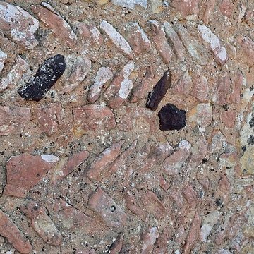 Église Saint-Christophe de Montferrand-du-Périgord