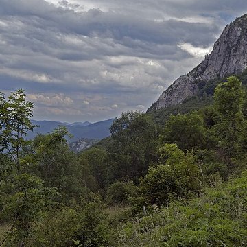 Château de Montségur