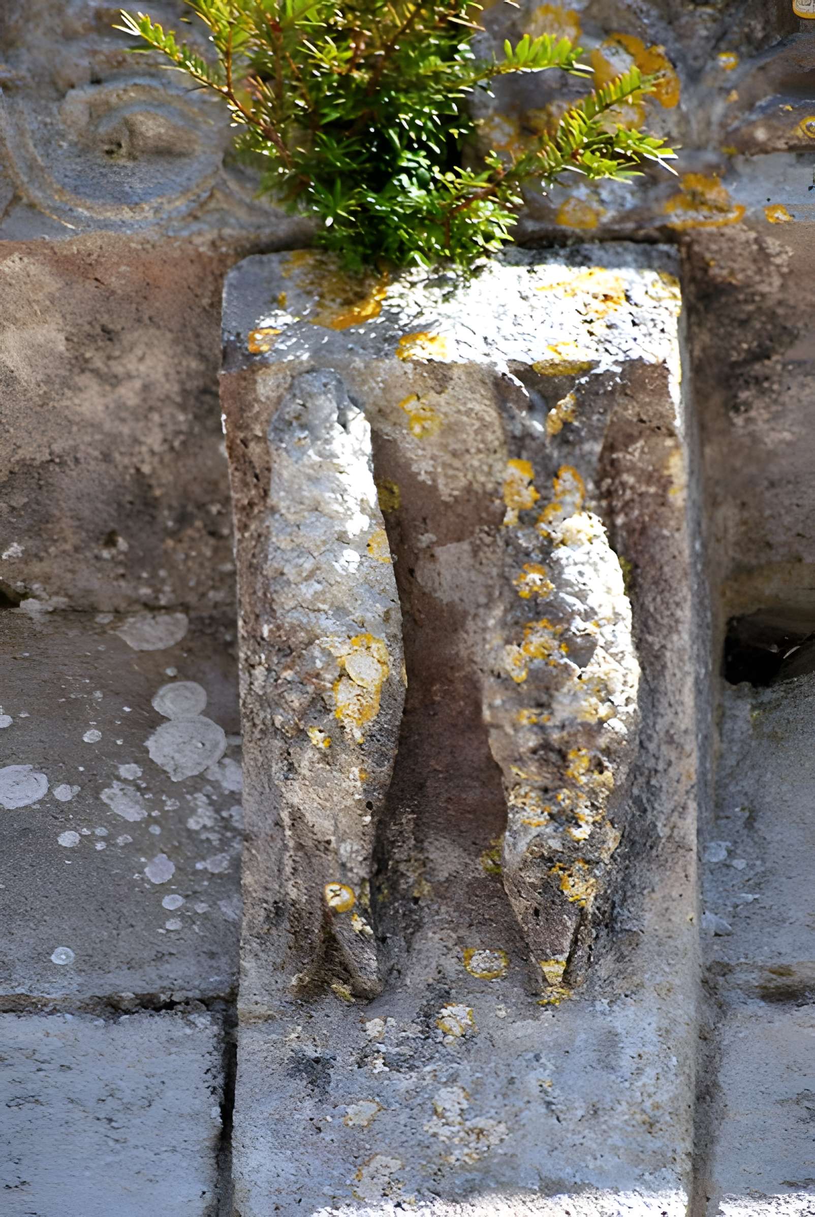 Église Saint-Christophe de Saint-Christophe-des-Bardes
