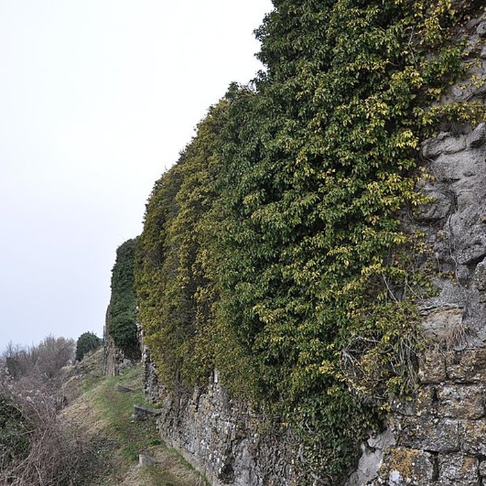 Photo de Château de Mousson