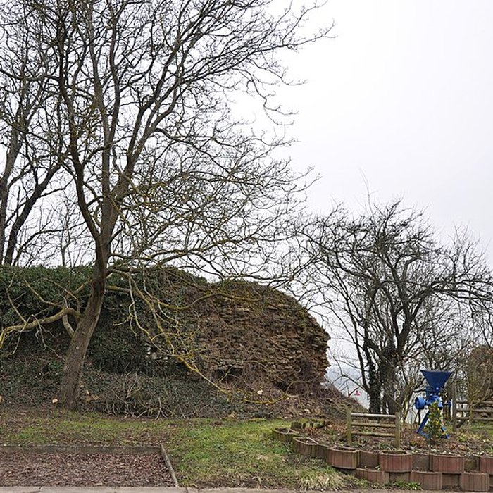 Photo de Château de Mousson