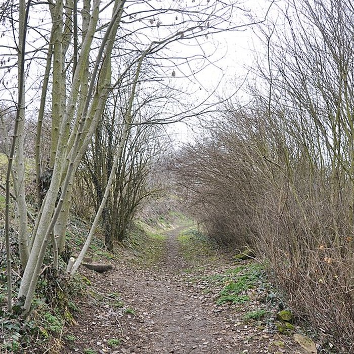 Photo de Château de Mousson