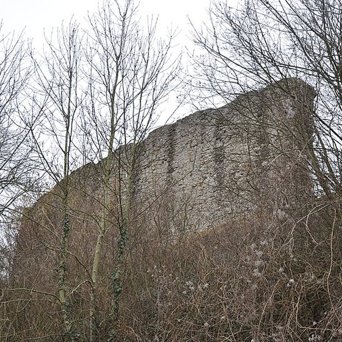 Photo de Château de Mousson