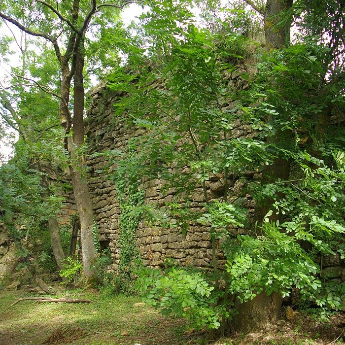 Photo de Château de Mousson