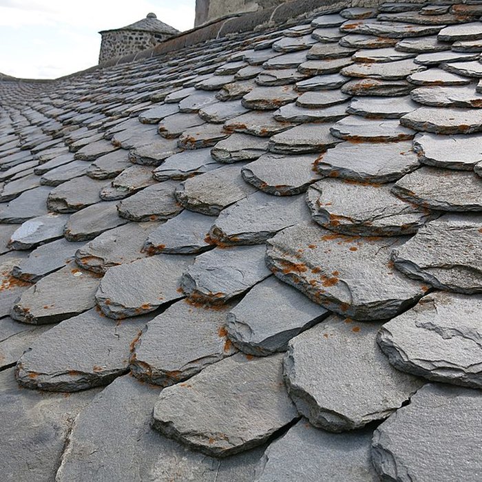 Photo de Château De Murol