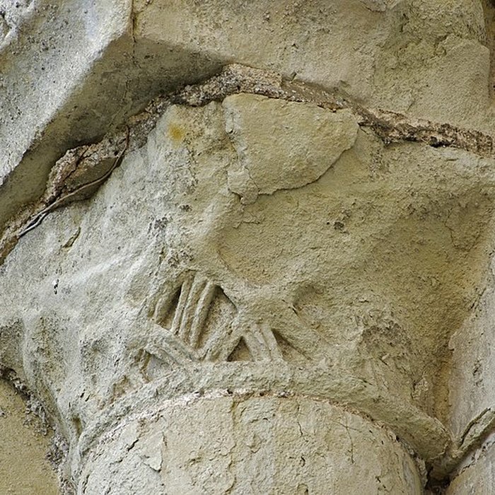 Photo de Église Saint-Denis de Doué-la-Fontaine