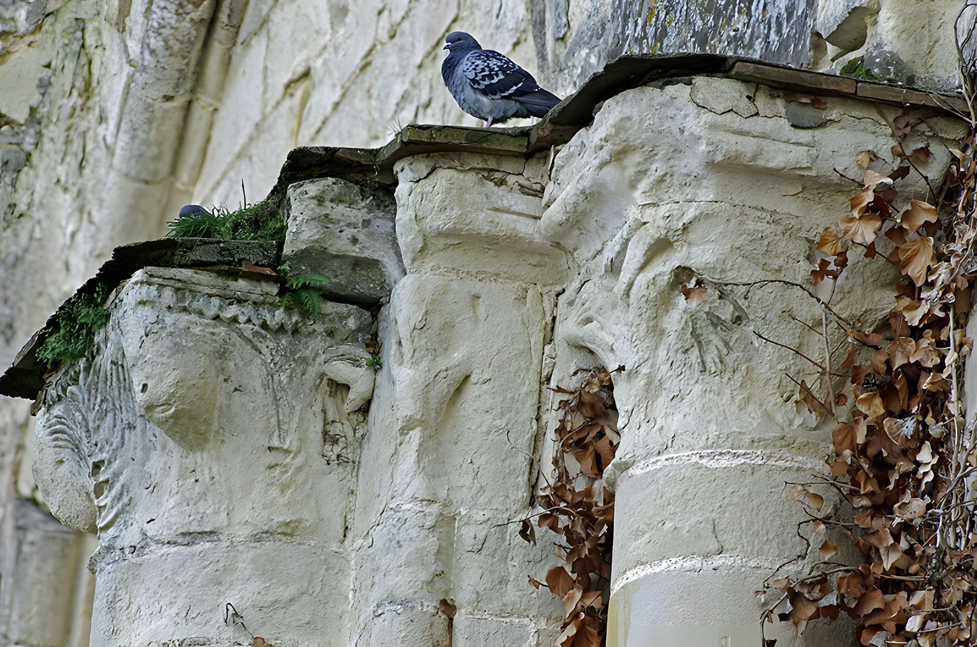 Église Saint-Denis de Doué-la-Fontaine