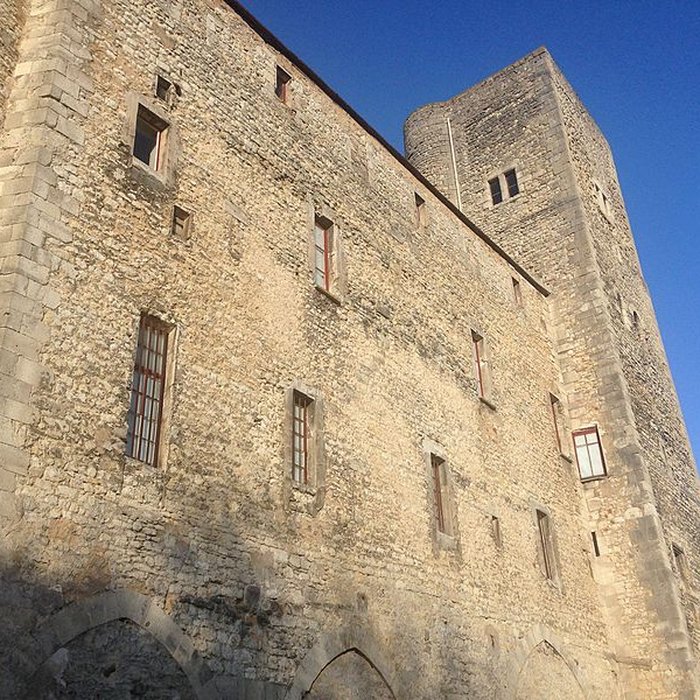 Photo de Château de Nemours