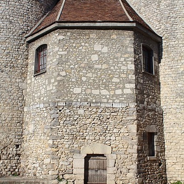 Photo de Château de Nemours