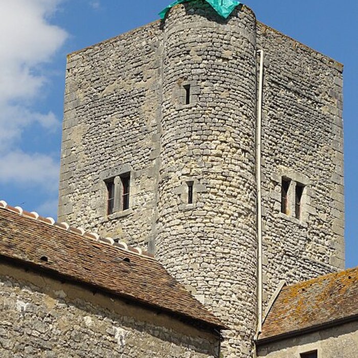 Photo de Château de Nemours