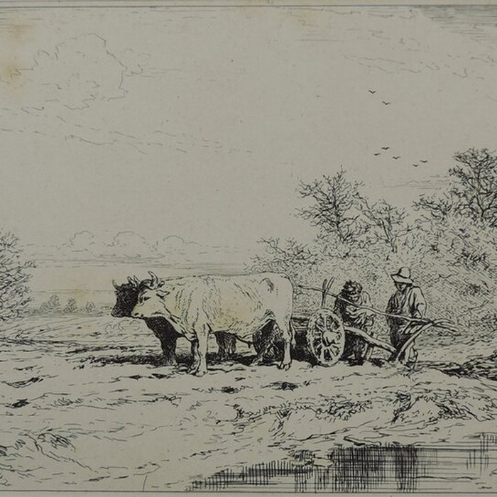 Photo de Château de Nemours