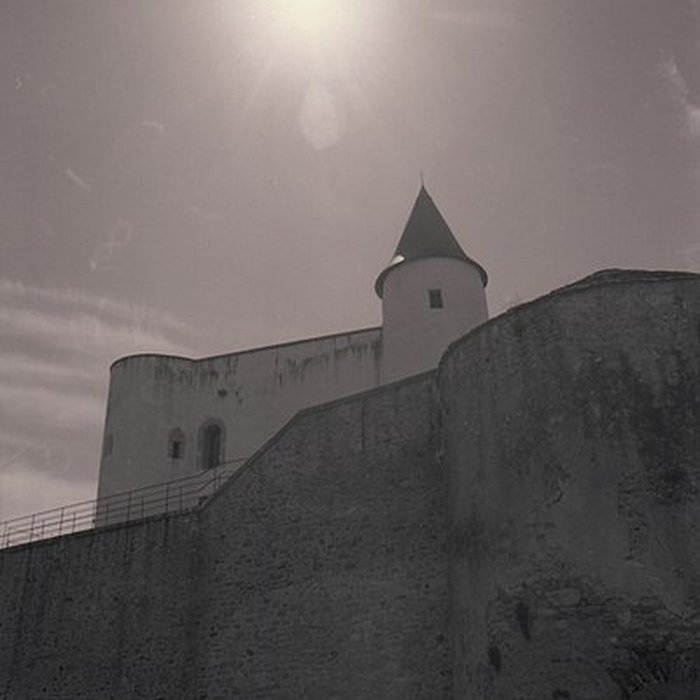 Photo de Château de Noirmoutier