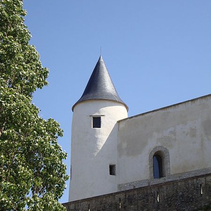 Photo de Château de Noirmoutier