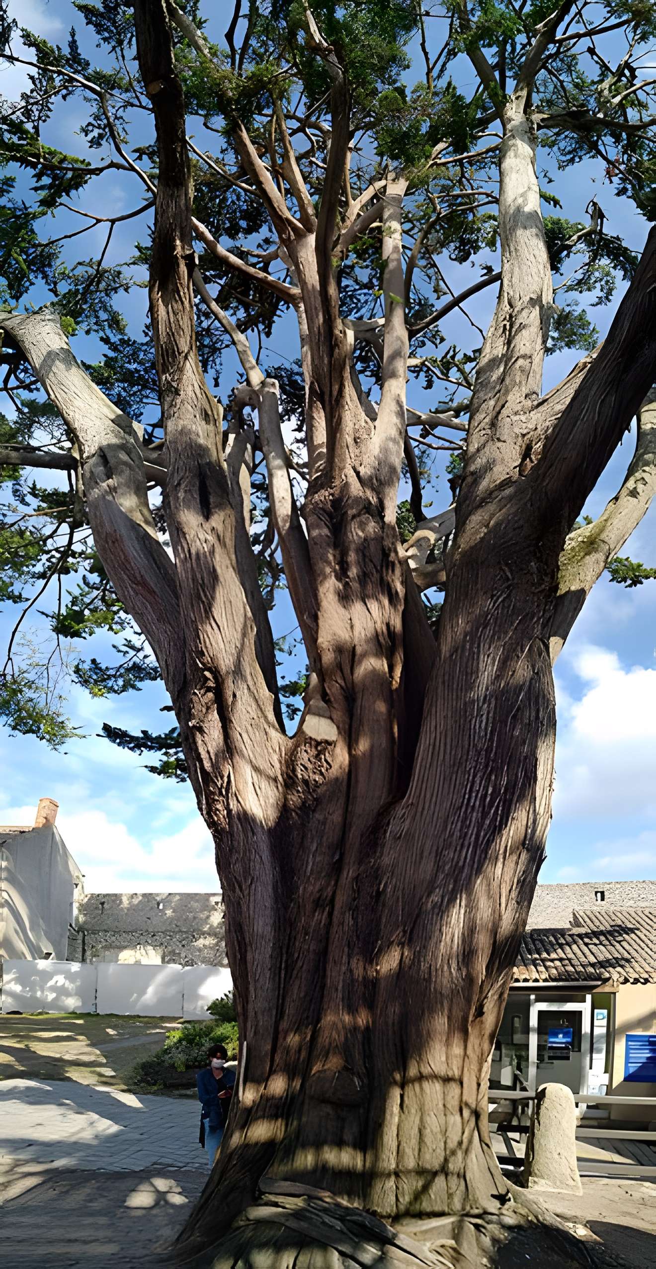 Château de Noirmoutier