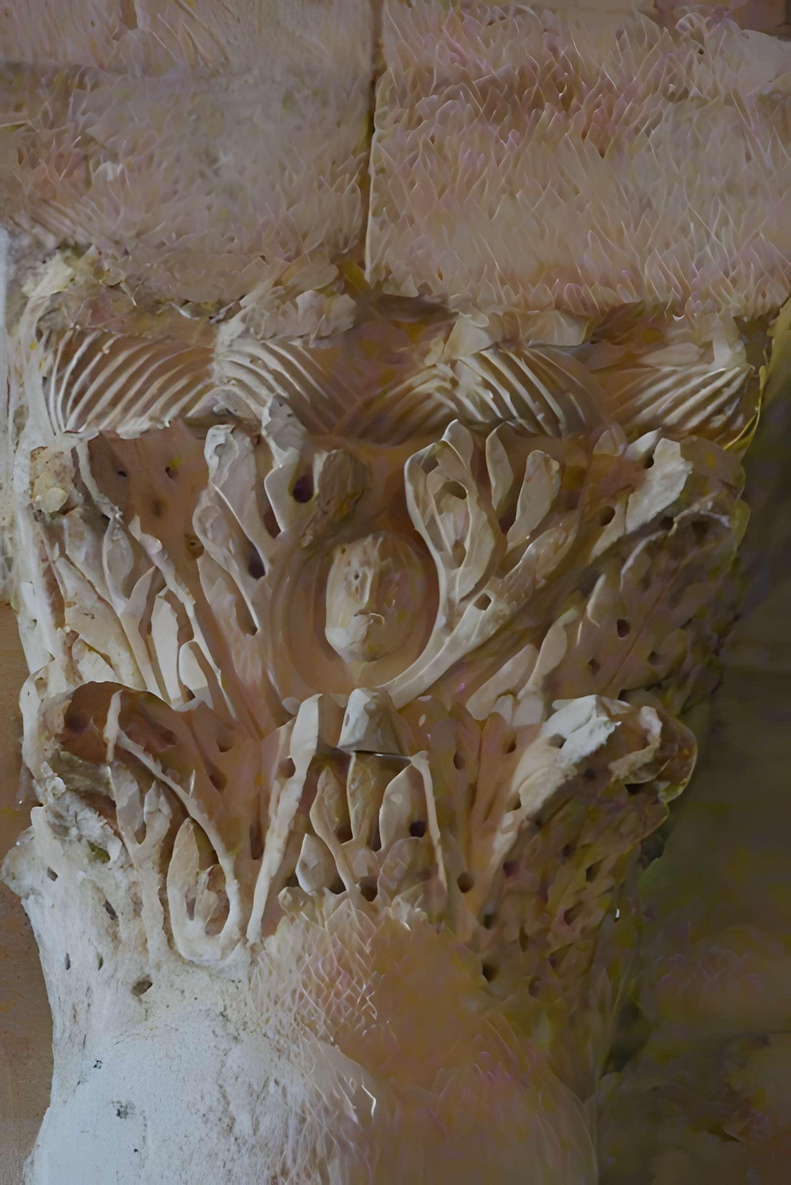 Église Sainte-Croix de La Baume-de-Transit