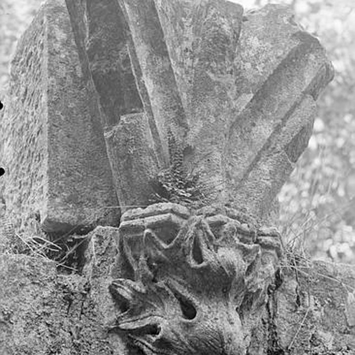 Photo de Château de Nozeroy