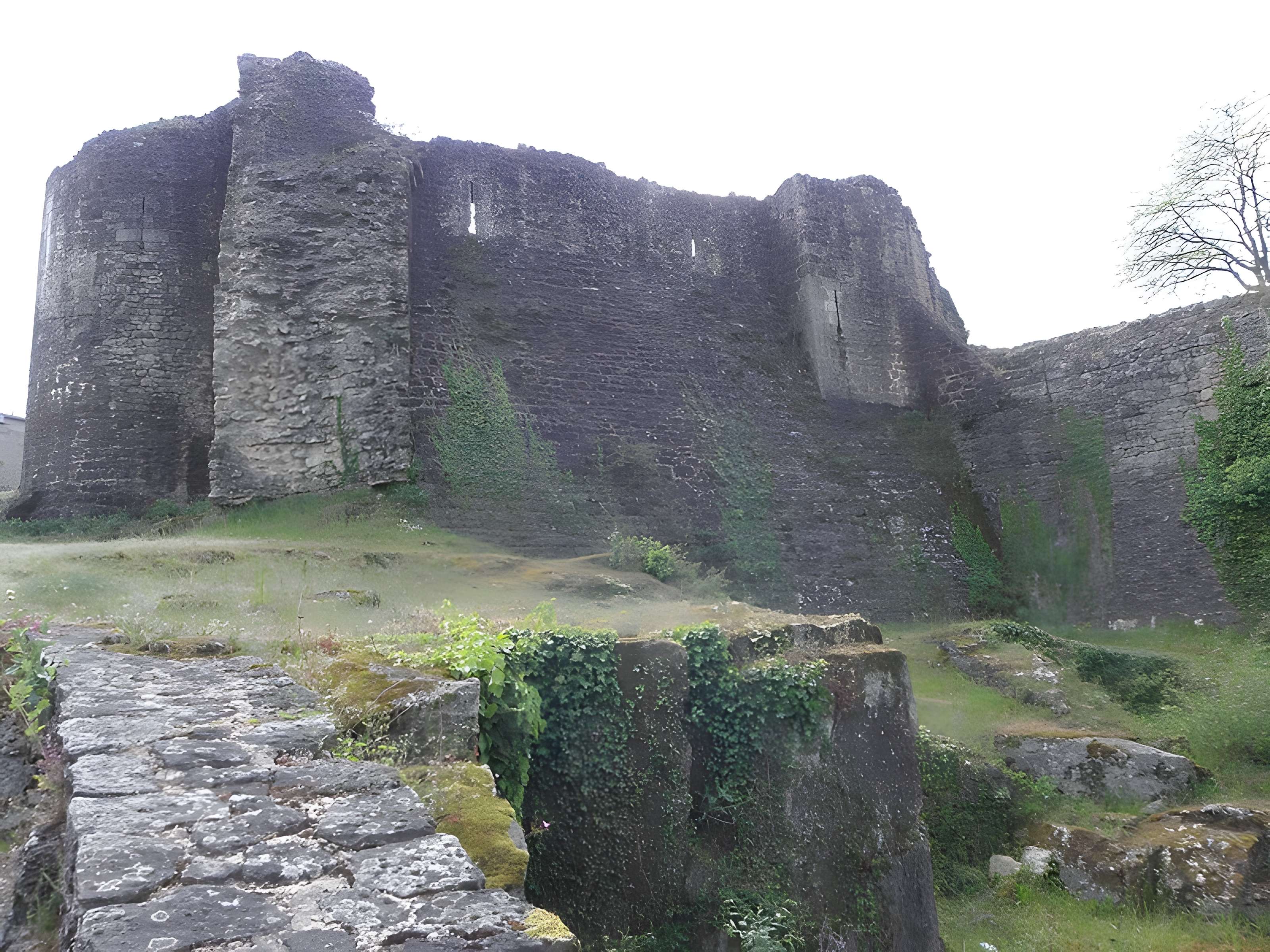 Château de Parthenay