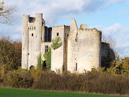 Photo de Château de Passy-les-Tours