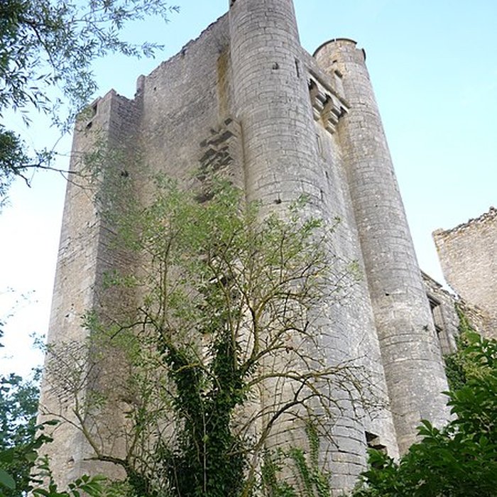 Photo de Château de Passy-les-Tours