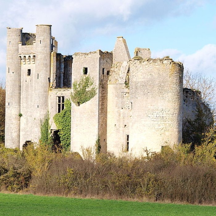 Photo de Château de Passy-les-Tours