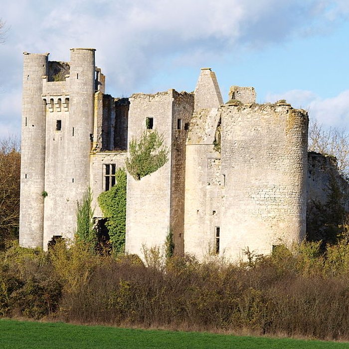 Photo de Château de Passy-les-Tours