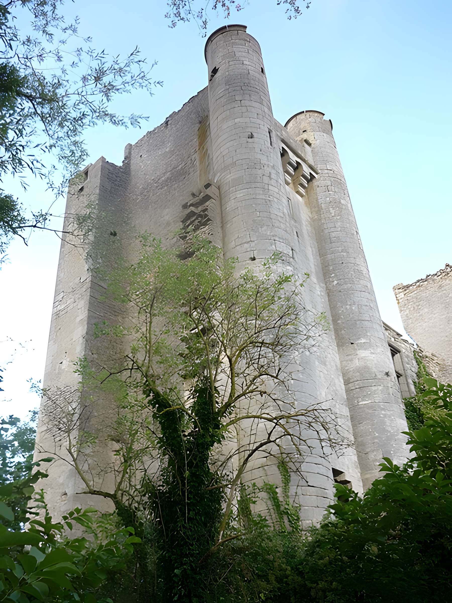 Château de Passy-les-Tours