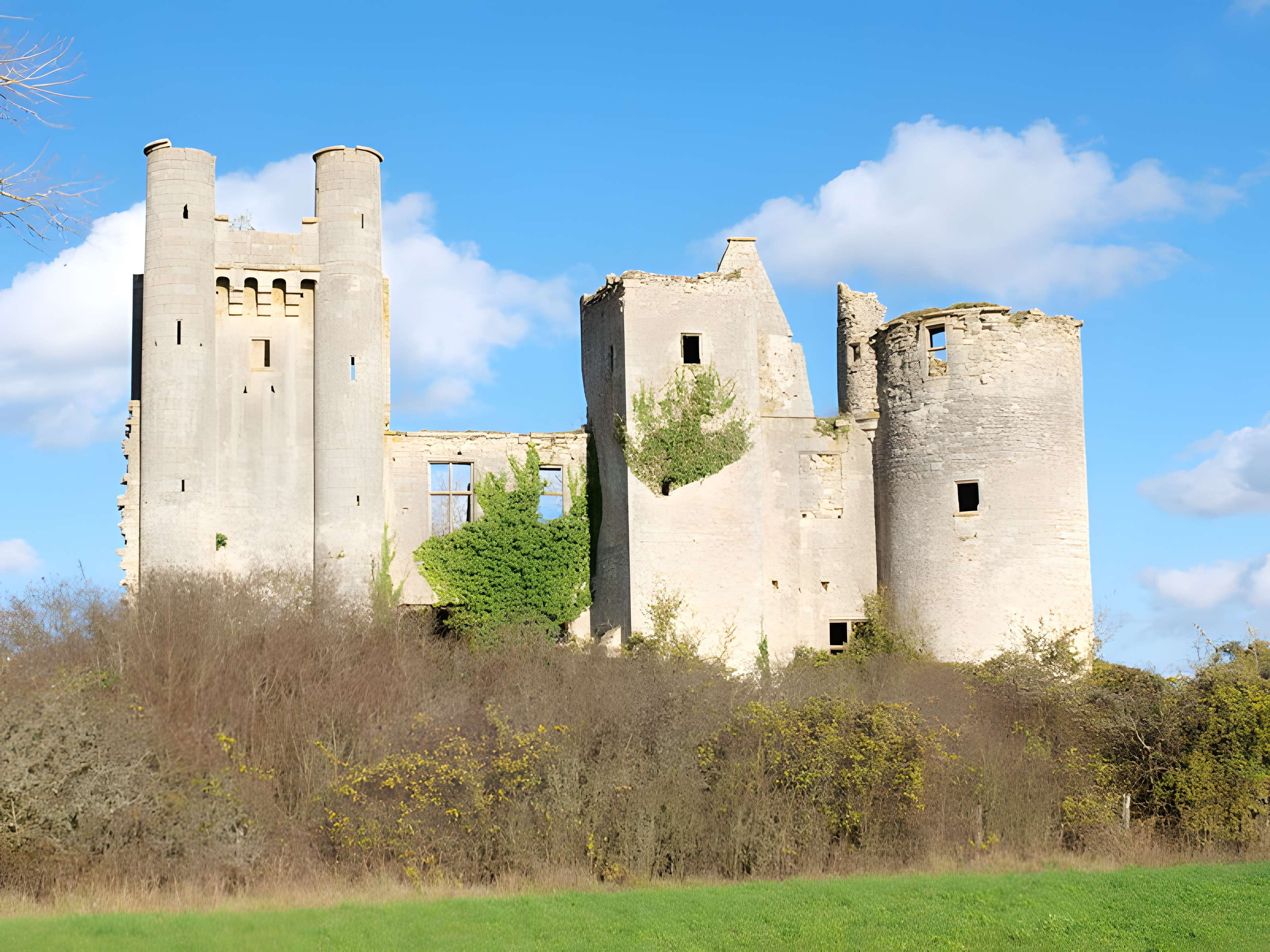 Château de Passy-les-Tours