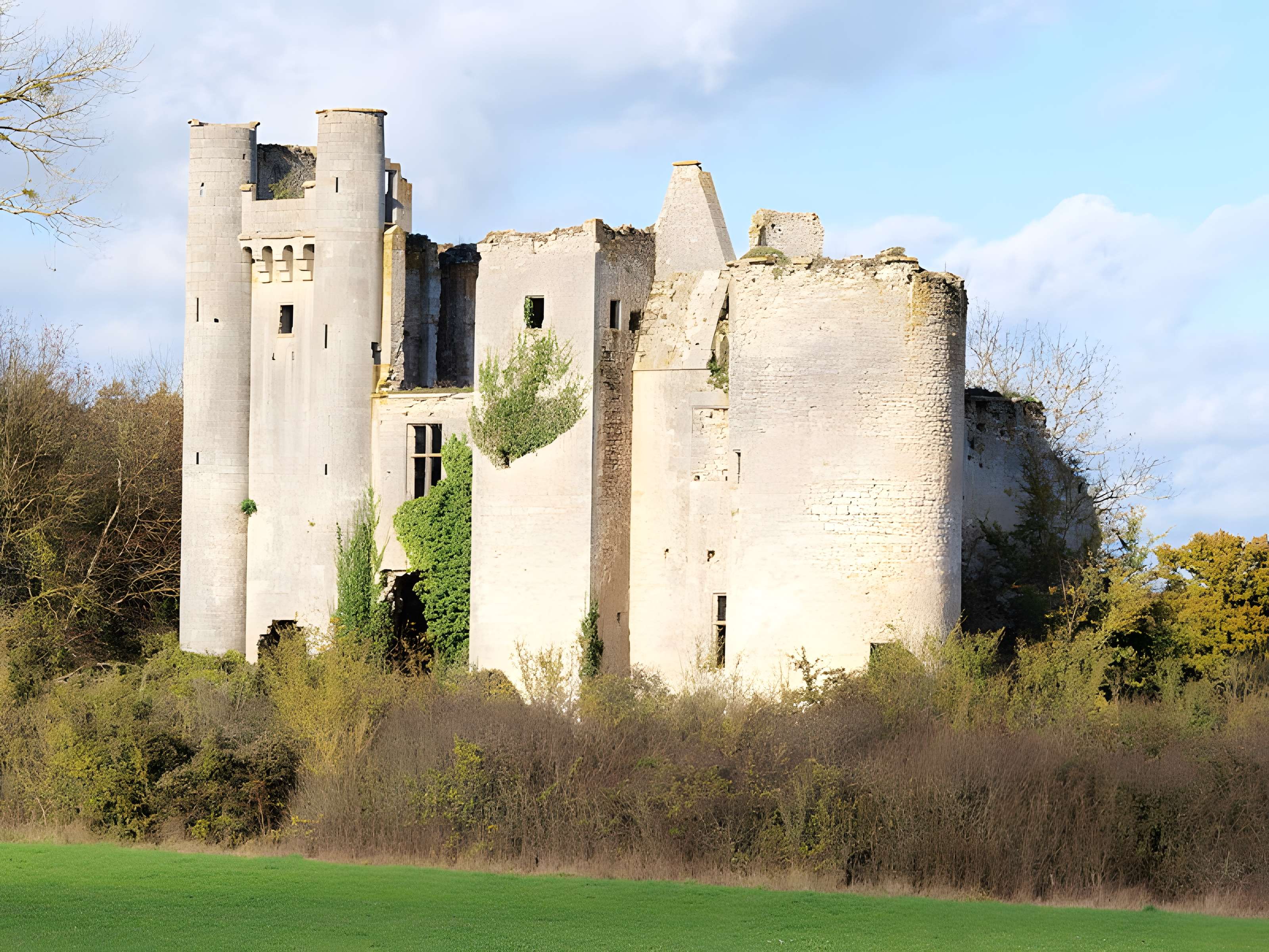 Château de Passy-les-Tours