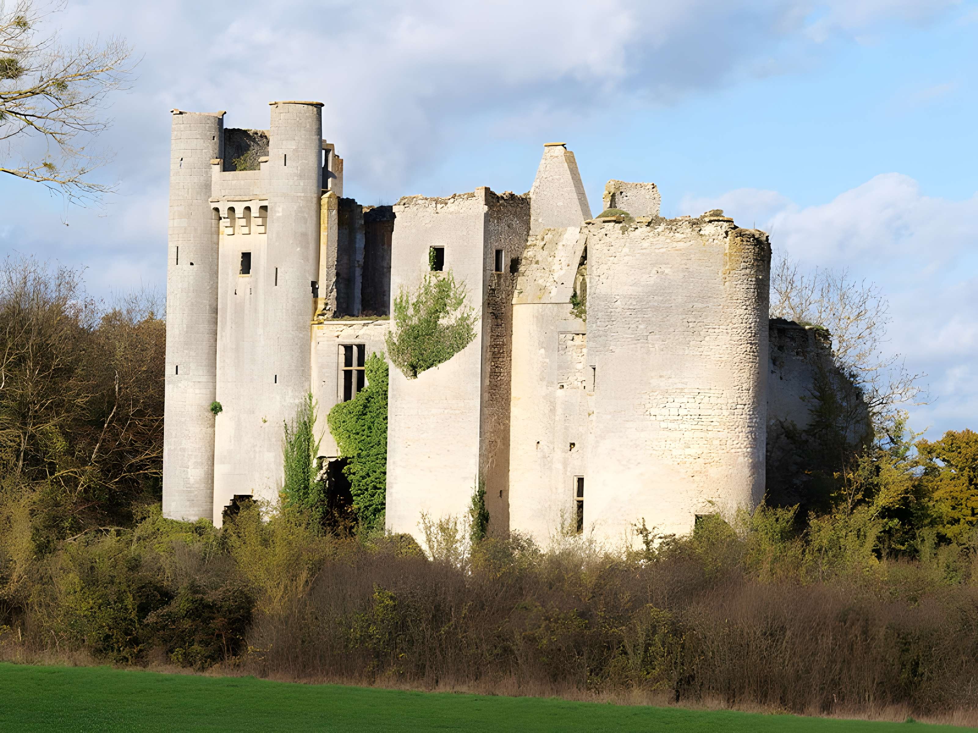 Château de Passy-les-Tours