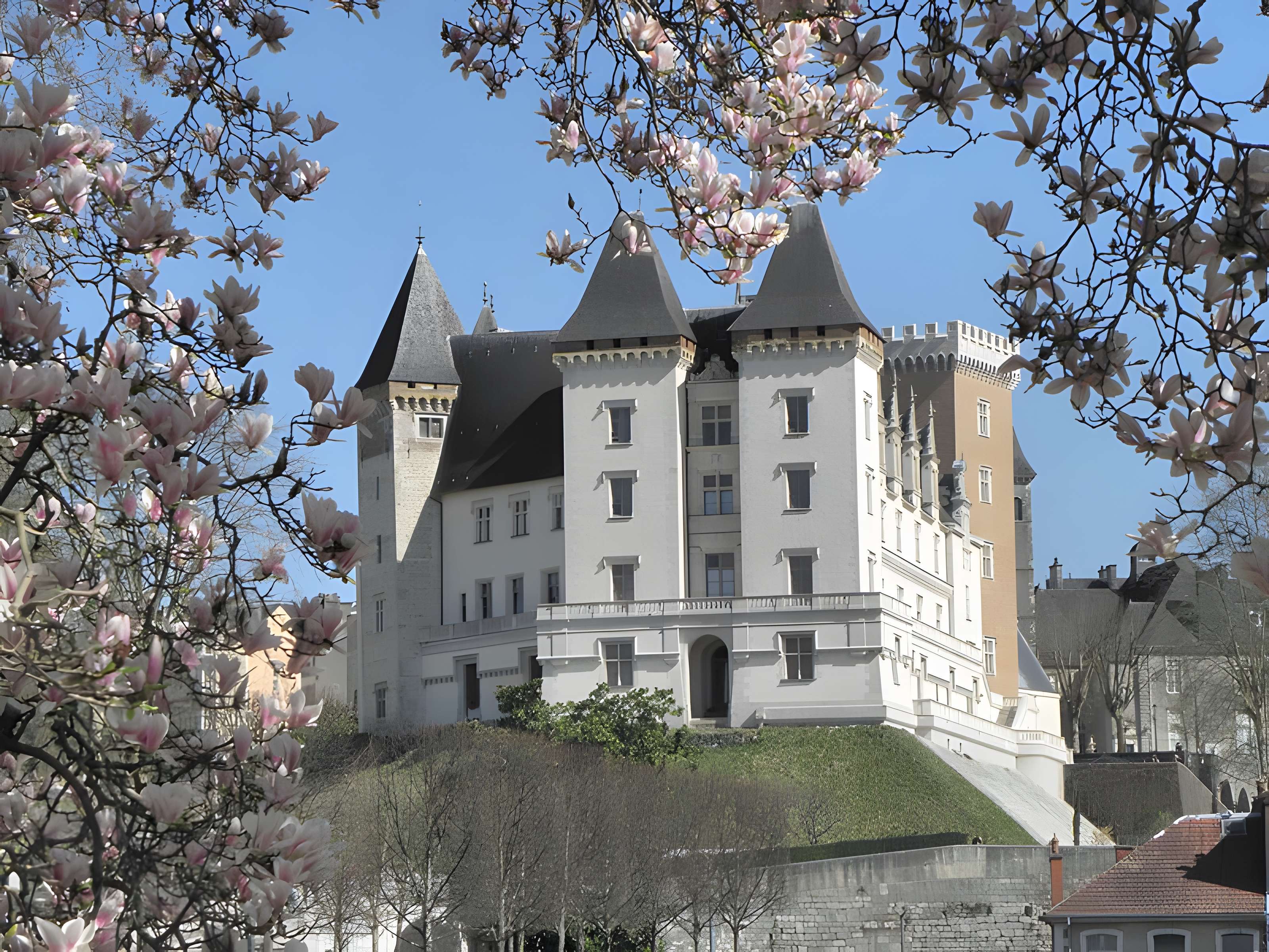 Château de Pau