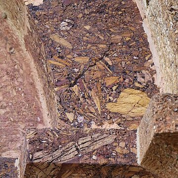 Église Sainte-Marie du Mercadal