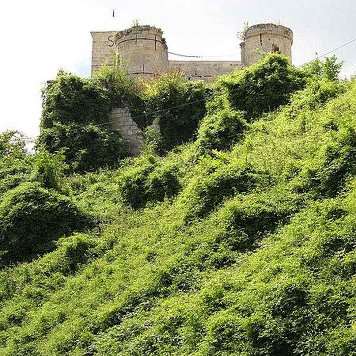 Photo de Château de Pernant
