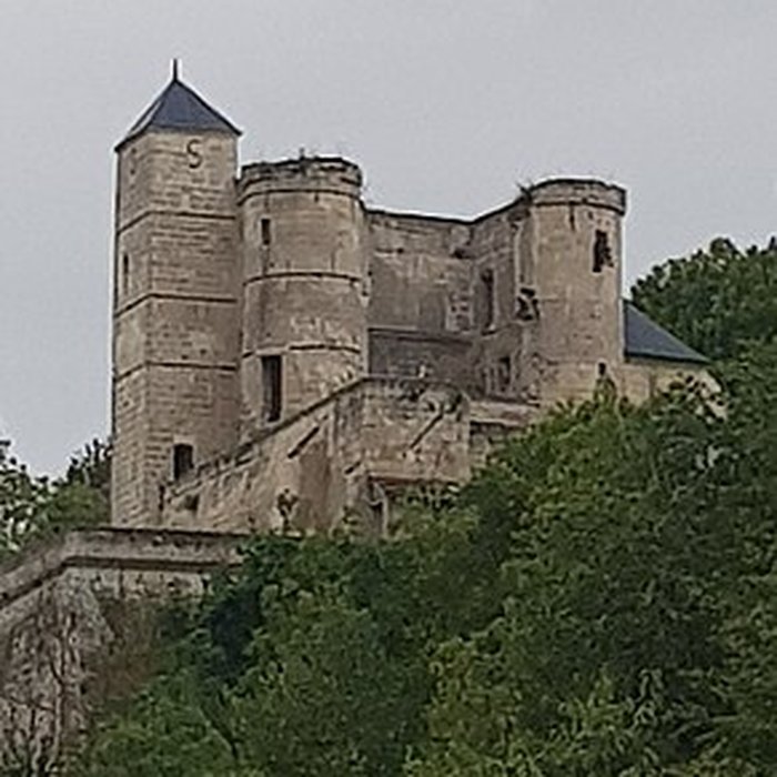 Photo de Château de Pernant