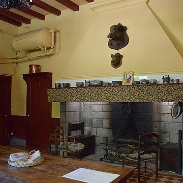 Château de Pesteils