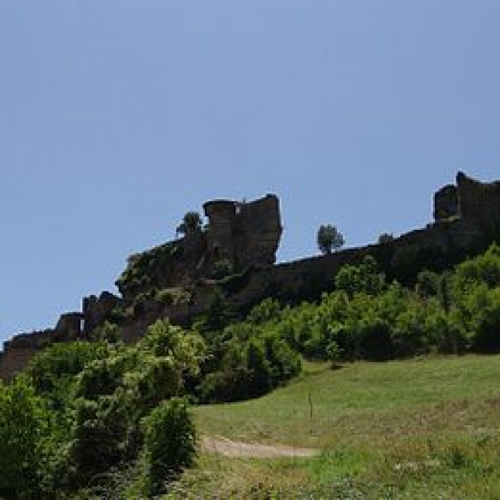 Photo de Château de Peyrelade