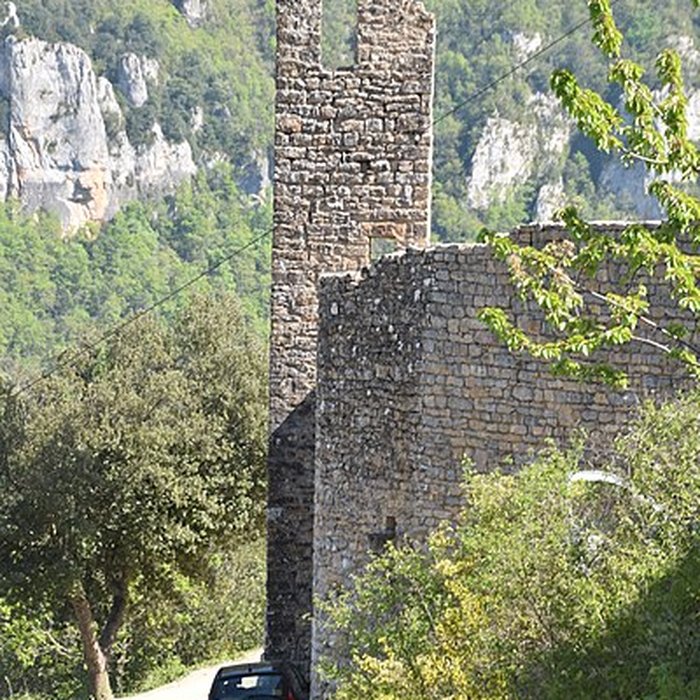 Photo de Château de Peyrelade