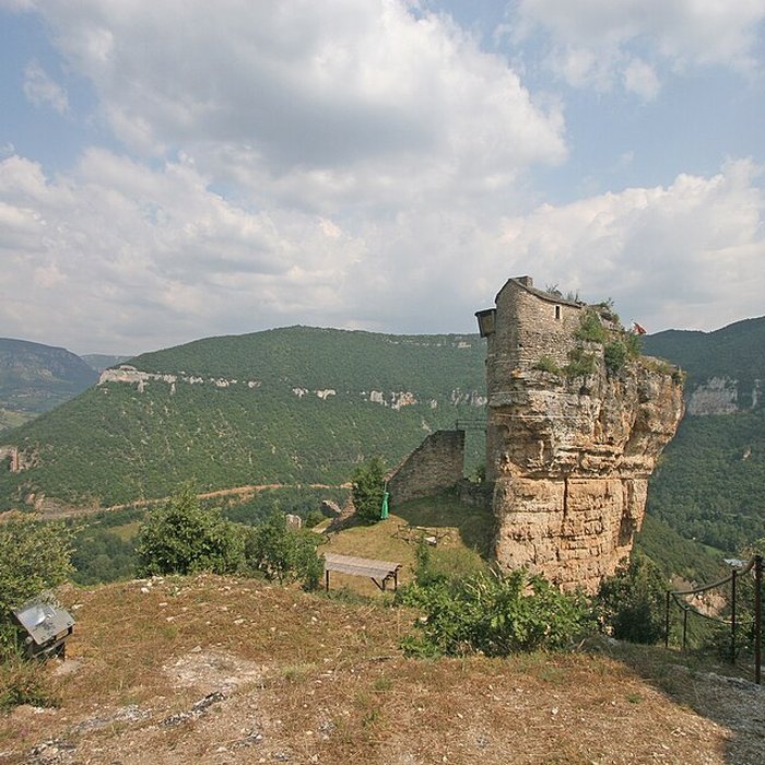 Photo de Château de Peyrelade