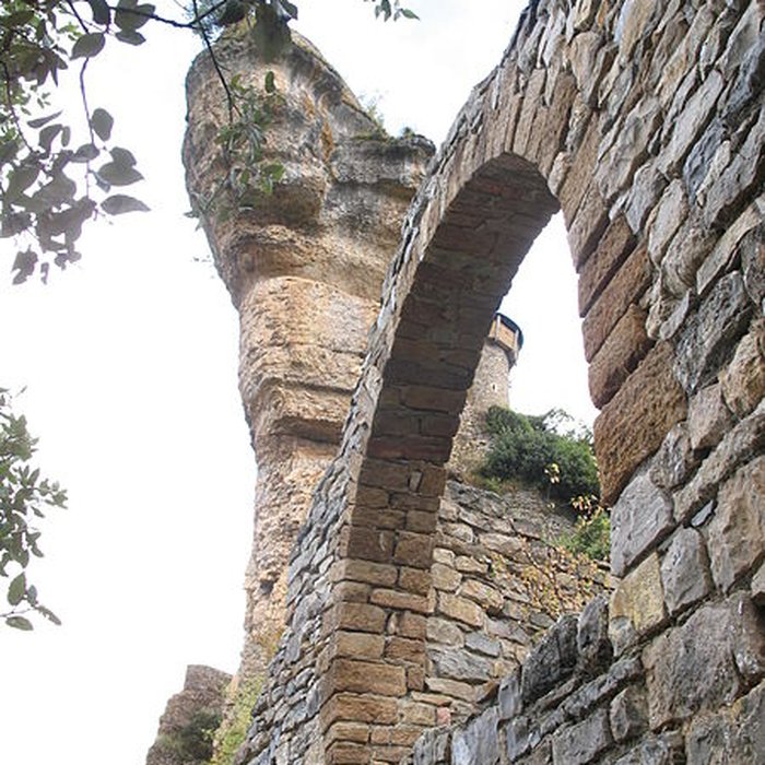 Photo de Château de Peyrelade