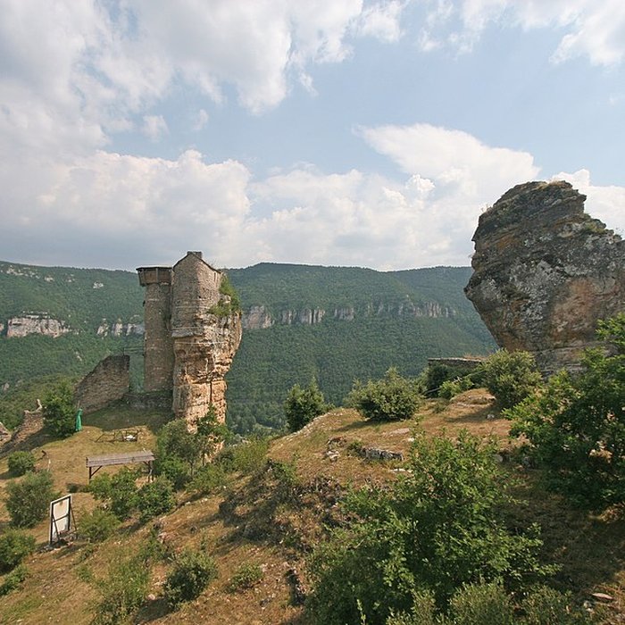 Photo de Château de Peyrelade