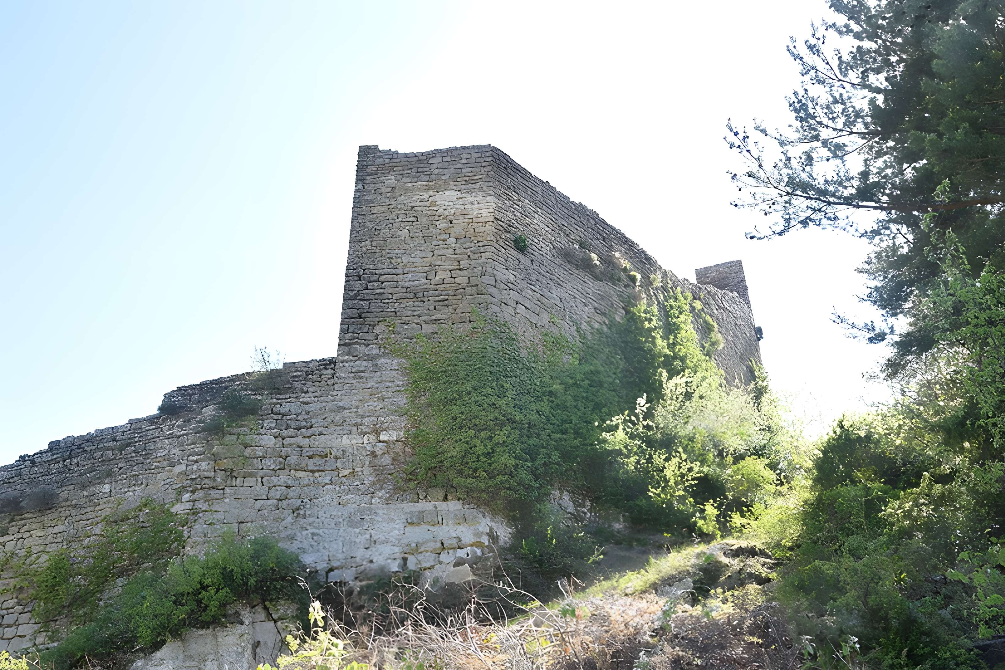 Château de Peyrelade