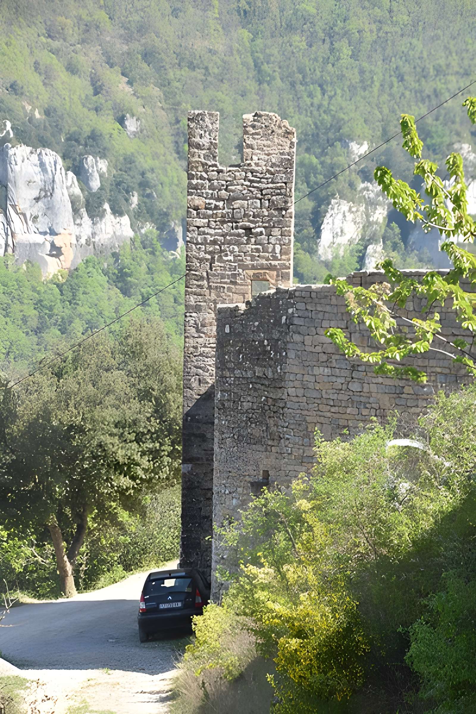 Château de Peyrelade