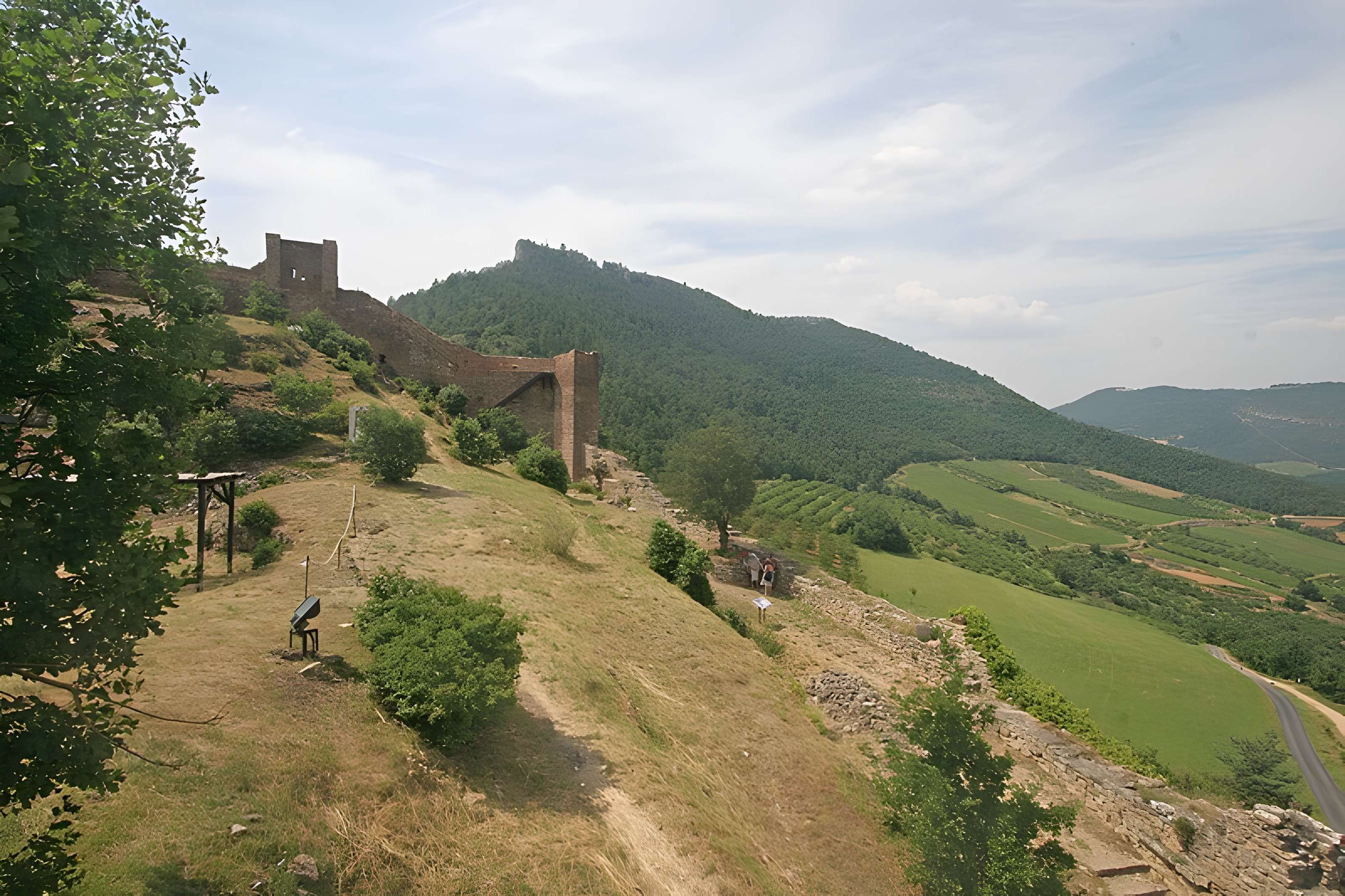 Château de Peyrelade