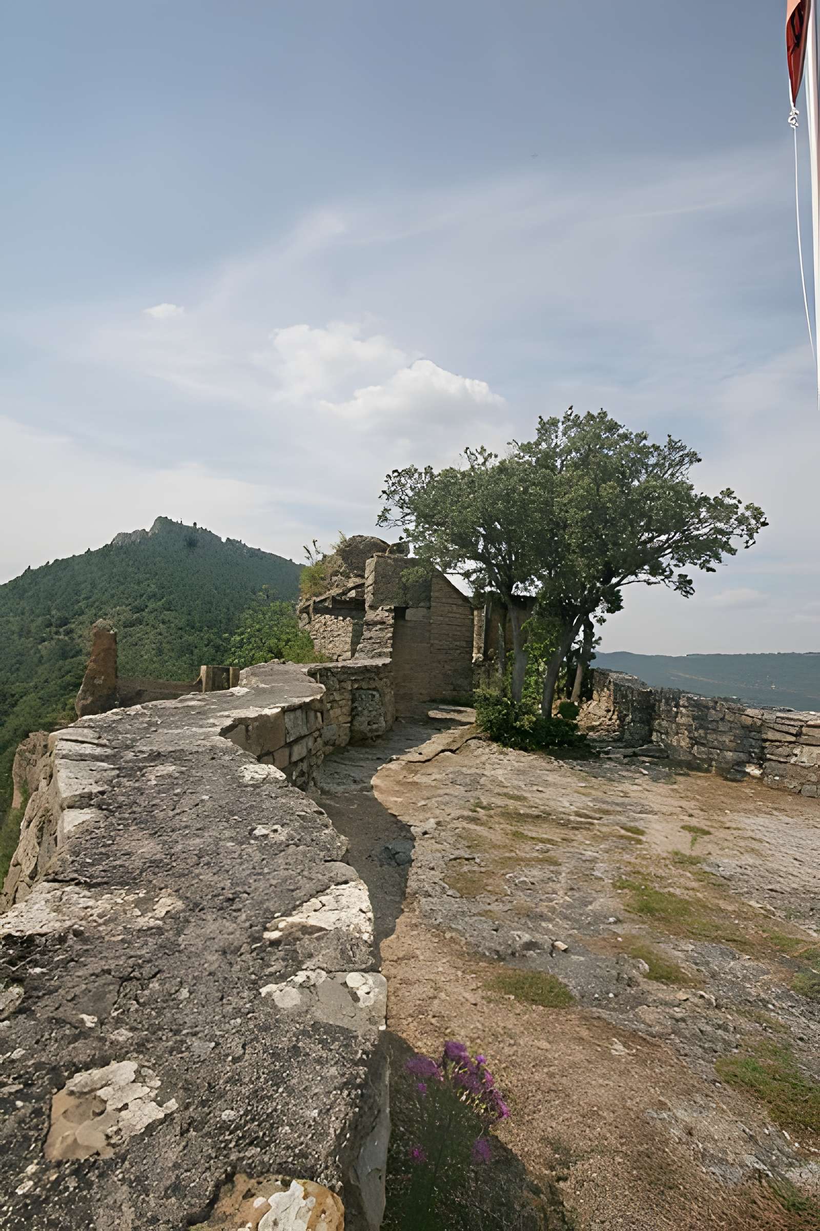 Château de Peyrelade