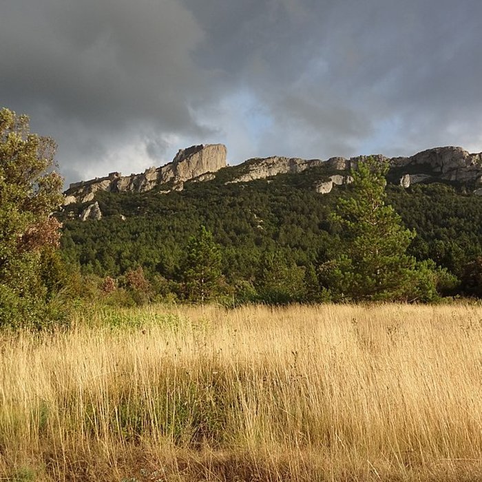 Photo de Ruines du château de Peyrepertuse