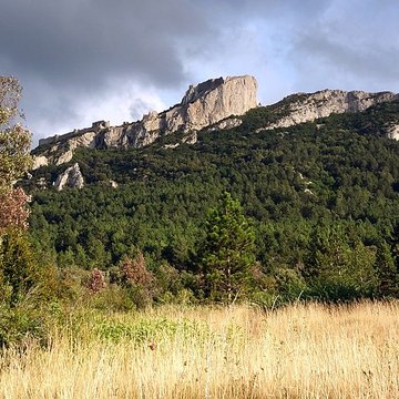Ruines du château de Peyrepertuse